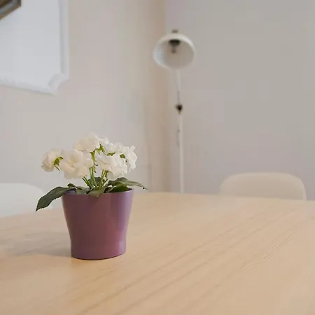 Ideal Y Acogedor Bengoetxea En Pleno Centro De Donostia - * Сан-Себастьян